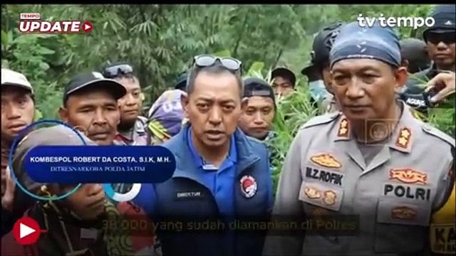 Ada Ladang Ganja di Taman Nasional Bromo, 38 Ribu Batang Tanaman Ganja Diamankan Polisi