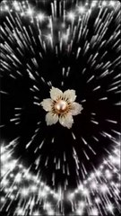 Best entertaining video