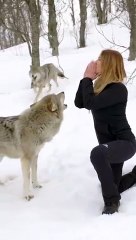 GIRL HOWLS WITH GIANT WOLVES