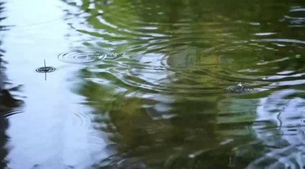 Relaxing Music For Anxiety | Soothing Sounds to Calm Your Mind