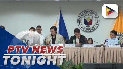 House solons react to former pres’l spox Roque’s SC petition
