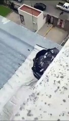 Horror en La Plata: un alumno de la Facultad de Psicología se quitó la vida