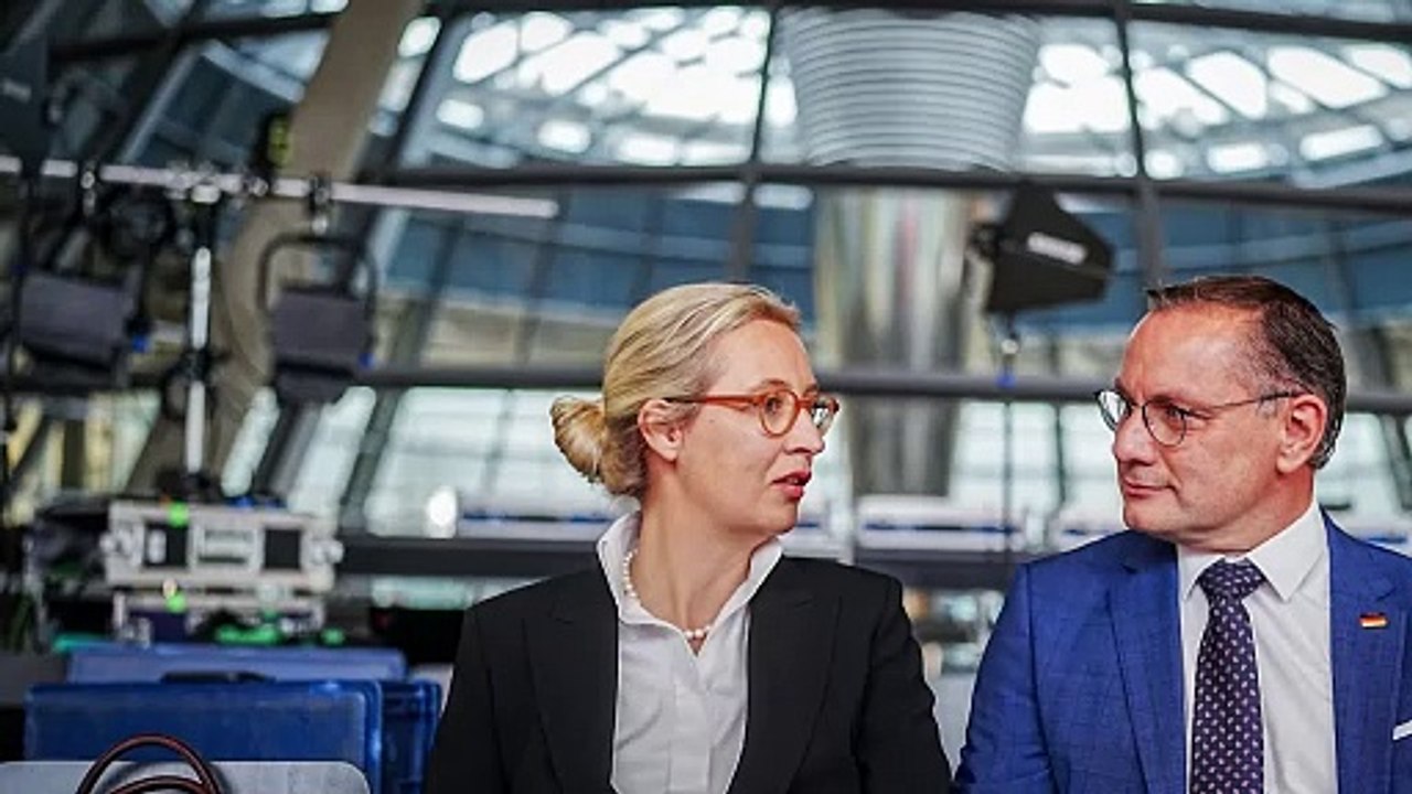 Junge 'AfD'-Mitglieder polarisieren mit umgeschriebenem Song: 'Wir schieben sie alle ab'