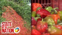 Bell pepper at kamatis, itinapon sa gilid ng kalsada dahil hindi na maibenta | SONA