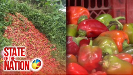 Bell pepper at kamatis, itinapon sa gilid ng kalsada dahil hindi na maibenta | SONA