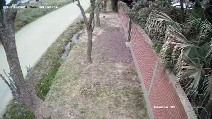 El momento exacto en el que Nico Mattioli embistió a una trabajadora doméstica