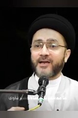 / علامہ سید شہنشاہ نقوی /