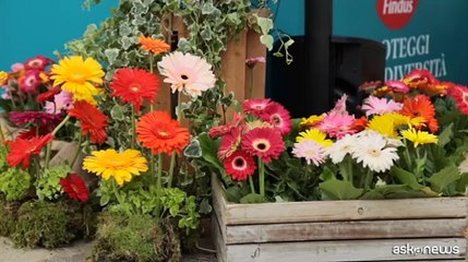 Tutelare la biodiversit? per un "Futuro fiorito", il progetto di Findus