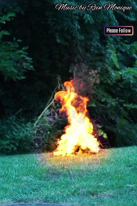  Episodes 1-10 Mr Vampire Wants Me Everyday Now Streaming on Dreameshort app  https://dreameshort.onelink.me/AIhx/vbnqy8x2