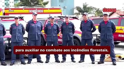 Bombeiros de SC voltam a ajudar nos incêndios