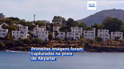 Divulgadas imagens de barcos da guarda costeira grega a violarem as águas territoriais da Turquia