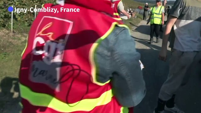 Vendanges en Champagne : la filière sous pression pour préserver sa réputation