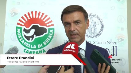 Prandini (Coldiretti): “Basta attacchi indiscriminati e fake news sulle produzioni agroalimentari di eccellenza”