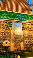 میں اور نبی کریم ﷺ ایک برتن میں اس طرح غسل کرتے تھ