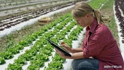 Descargar video: Tecnologia e IA al centro del Forum 2024 della Fondazione Enpaia