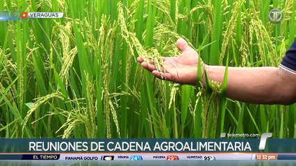 Molineros se comprometen a suministrar 15 mil quintales de arroz por semana