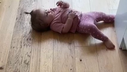 Stolen snack standoff ends in a disarming display of honesty