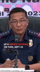 Ex-PNP chief Acorda questioned for ‘fraternizing’ with Michael Yang’s brother