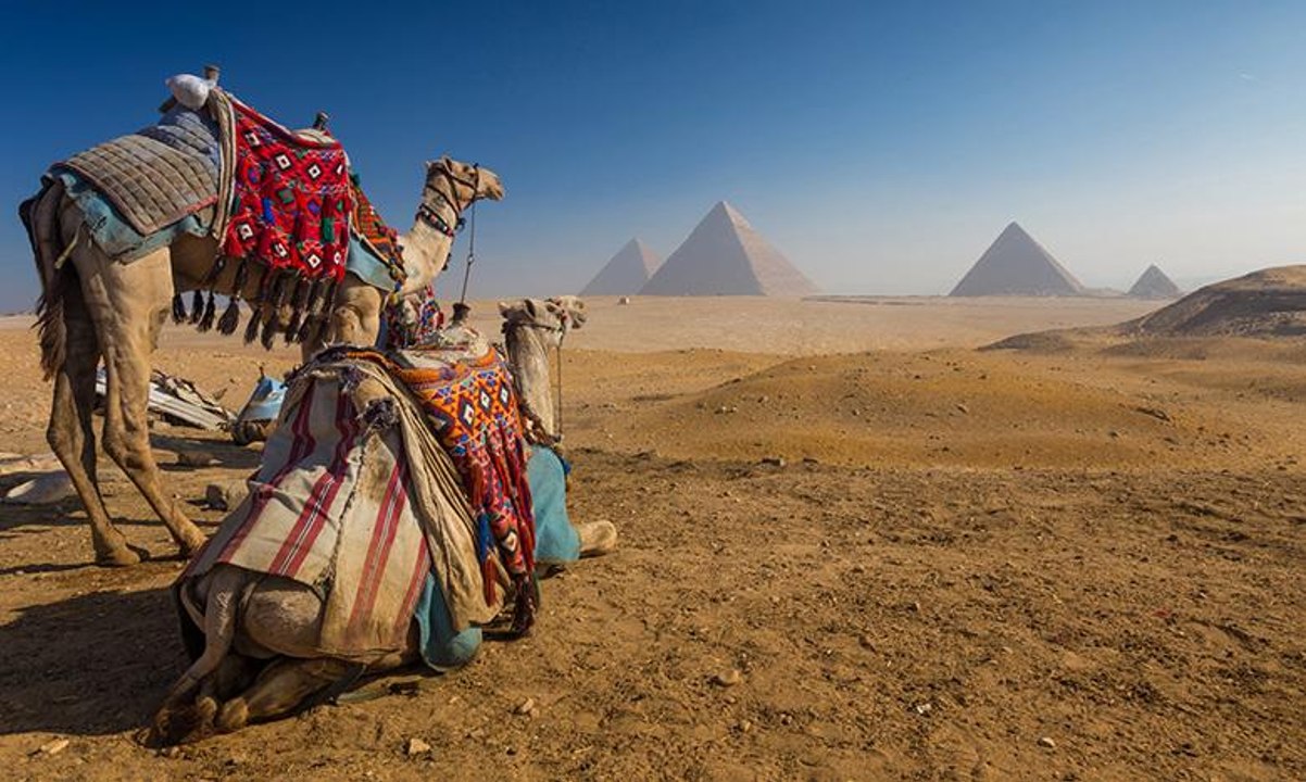 الصحة المصرية تكشف آخر المستجدات مرض أسوان الغامض