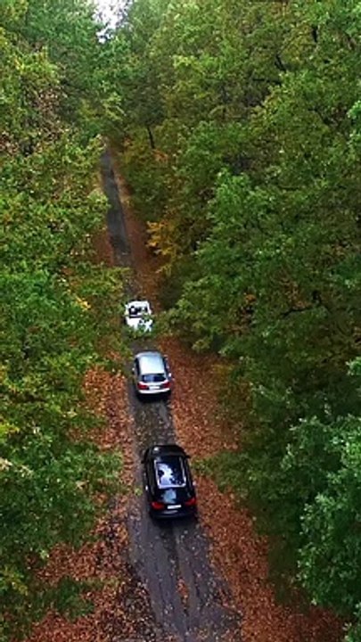 Aerial view of three cars moving along the narrow road between colored trees in the forest. Road with cars surrounded by trees in autumn