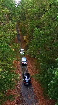 Aerial view of three cars moving along the narrow road between colored trees in the forest. Road with cars surrounded by trees in autumn