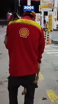 Ya casi es mitad de semana y nuestras energías siguen a tope