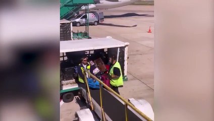 Empleados Intercargo despedidos