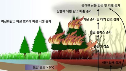 지구온난화 가속화에..."북극 산불 피해 늘어날 것" / YTN