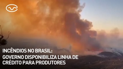 Incêndios no Brasil: governo disponibiliza linha de crédito para produtores afetados