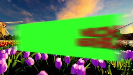 Top 10 Must-See Places in the Netherlands for First-Time Visitors