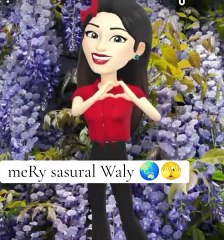 mery Sasural Waly Mera Sakoon