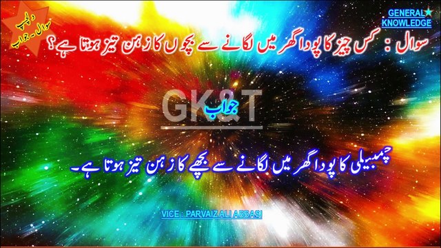 2024 Islamic Innovations: Incredible Inventions That Revolutionized Science and Knowledge