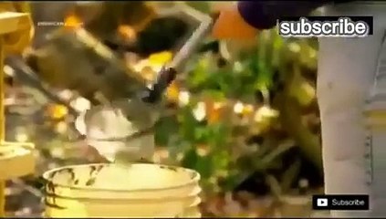 American digger  Find Megalodon Shark in hindi ll Discovery channel show.