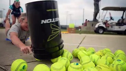 Hungry Hungry Gators