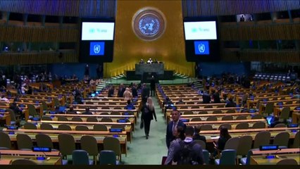 GUNS IN CARIBBEAN RAISED AT UN MEETING
