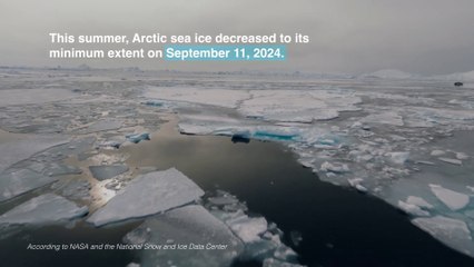 Arctic Sea Ice Near Historic Low; Antarctic Ice Continues Decline