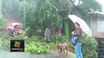 tn7-Lluvias dejan puente peatonal destruido, calles colapsadas y casas dañadas en Monteverde-240924