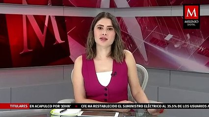 "Michigan", un espacio dedicado en CdMx al cuidado de gatos rescatados