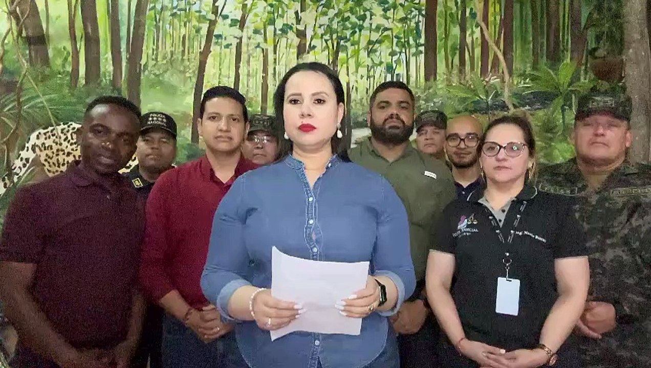 CNDS anuncia acuerdo con ganaderos para 'Plan Cero Deforestación'