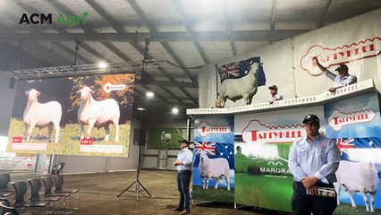 Tattykeel opening lots | The Land