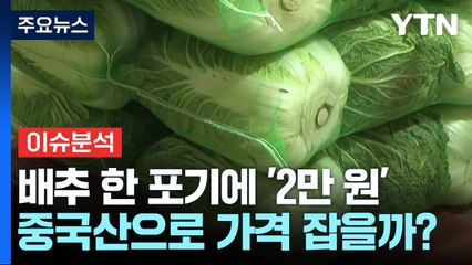 [뉴스나우] 배추 한 포기에 '2만 원'...중국산 수입 통해 가격 잡을까? / YTN