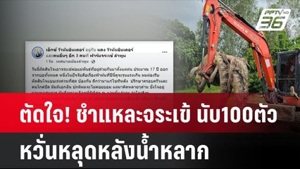 ตัดใจ! ชำแหละจระเข้ นับ100ตัว หวั่นหลุดหลังน้ำหลาก  | โชว์ข่าวเช้านี้ | 25 ก.ย. 67