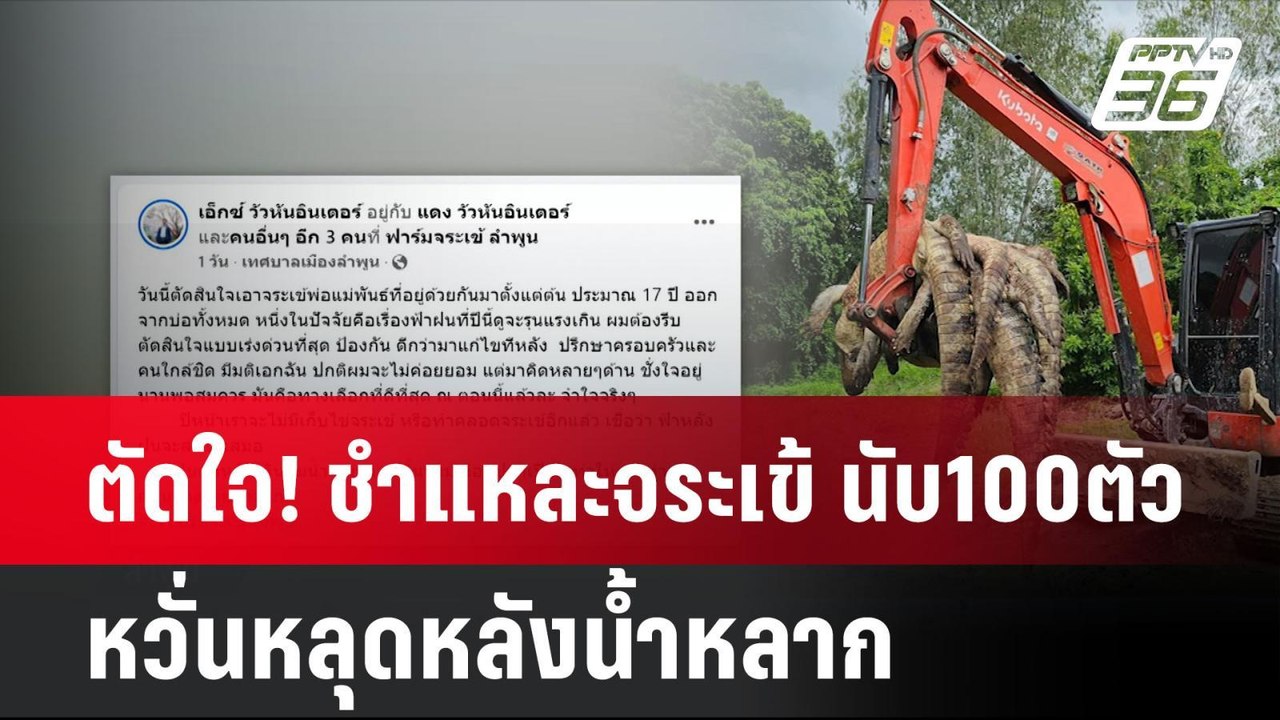 ตัดใจ! ชำแหละจระเข้ นับ100ตัว หวั่นหลุดหลังน้ำห...