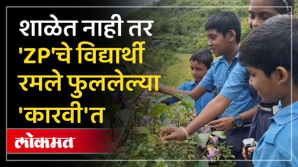 ७ वर्षांनी फुलणारी 'कारवी' पाहण्यासाठी शिक्षकाने  विद्यार्थ्यांना नेले 'निसर्ग' शाळेत...