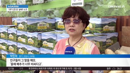 기록적 폭염에 생산량 줄어…배추 아닌 ‘金추’