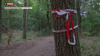 Meurtre de Philippine : un suspect sous OQTF interpellé