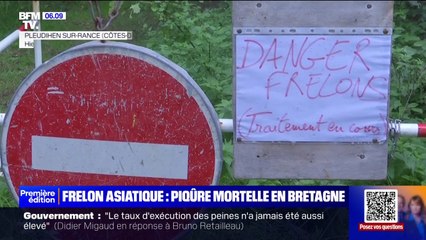 Video herunterladen: Un mort et quatre blessés après une attaque de frelons asiatique en Bretagne