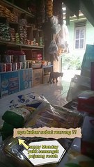 yukk semangat pejuang receh