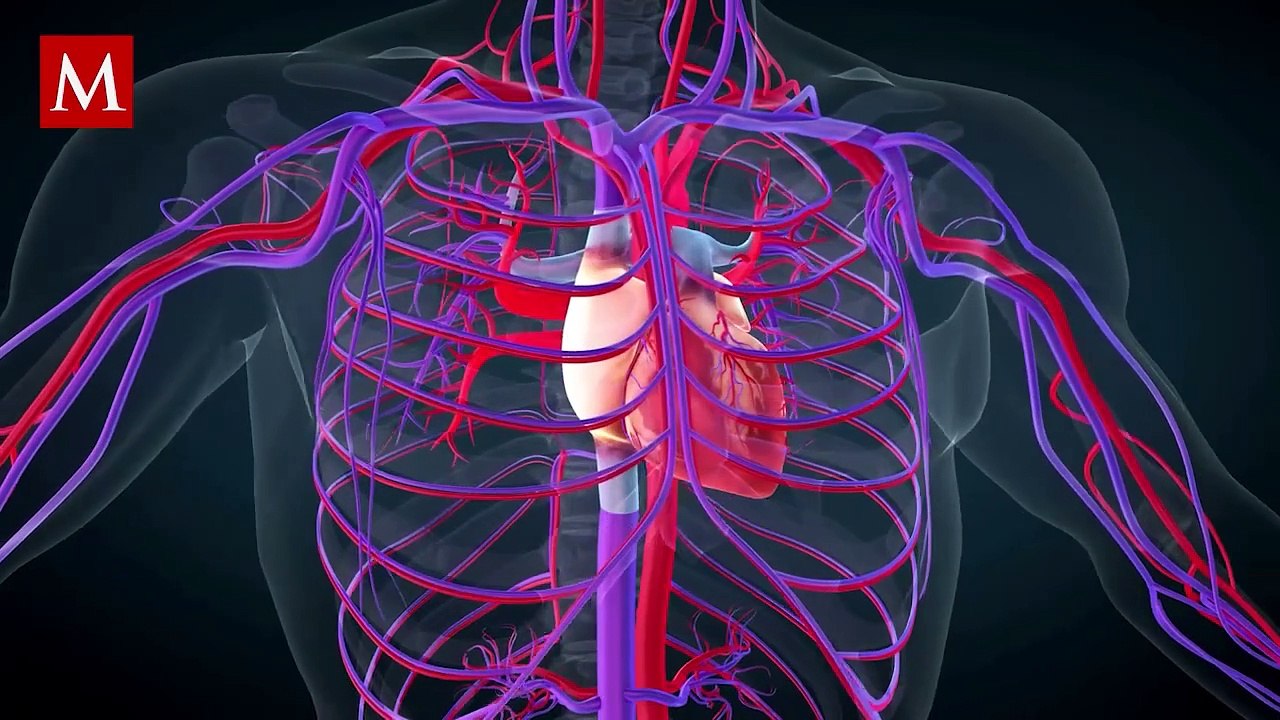Así afectan los viajes espaciales a el corazón