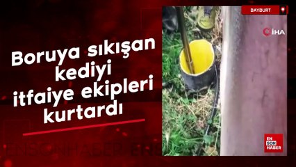 Bayburt'ta boruya sıkışan kediyi itfaiye ekipleri kurtardı